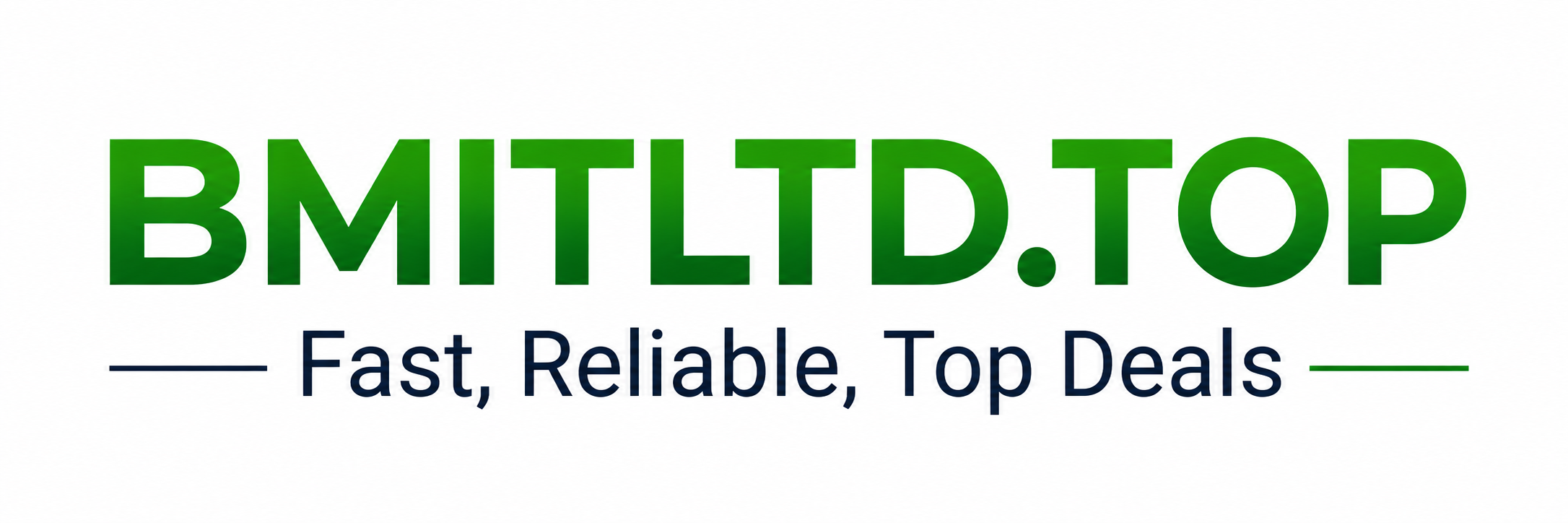 BM IT LTD