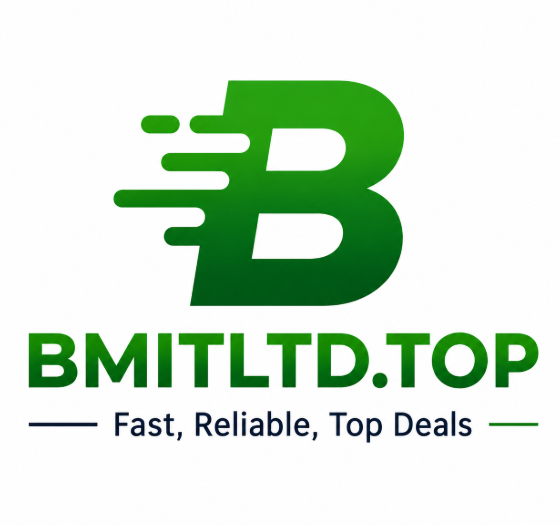 BM IT LTD